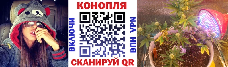 Шишки марихуана конопля  Чекалин 